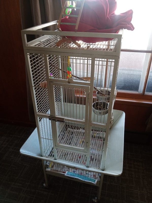 Bird Cage Needs To ASAP