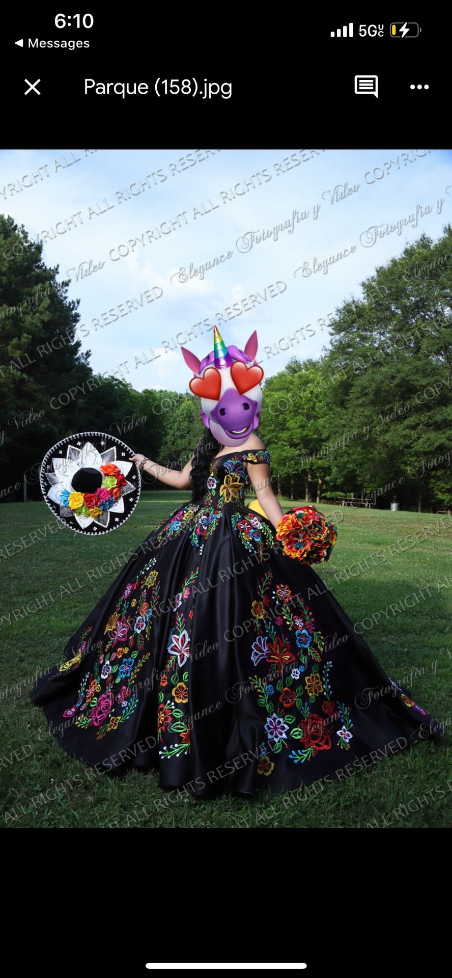Quinsenera Dress And Supplies