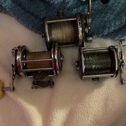 3  Penn Reel 150 OBO