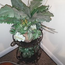 Plant Holder And Plant 