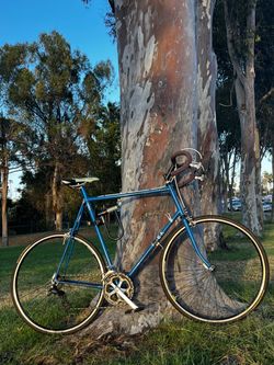 Trek 600 Series 66cm Road Bike