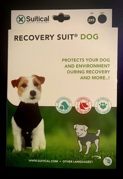 Recovery Suit Onesie, Dog, Cat, Pet