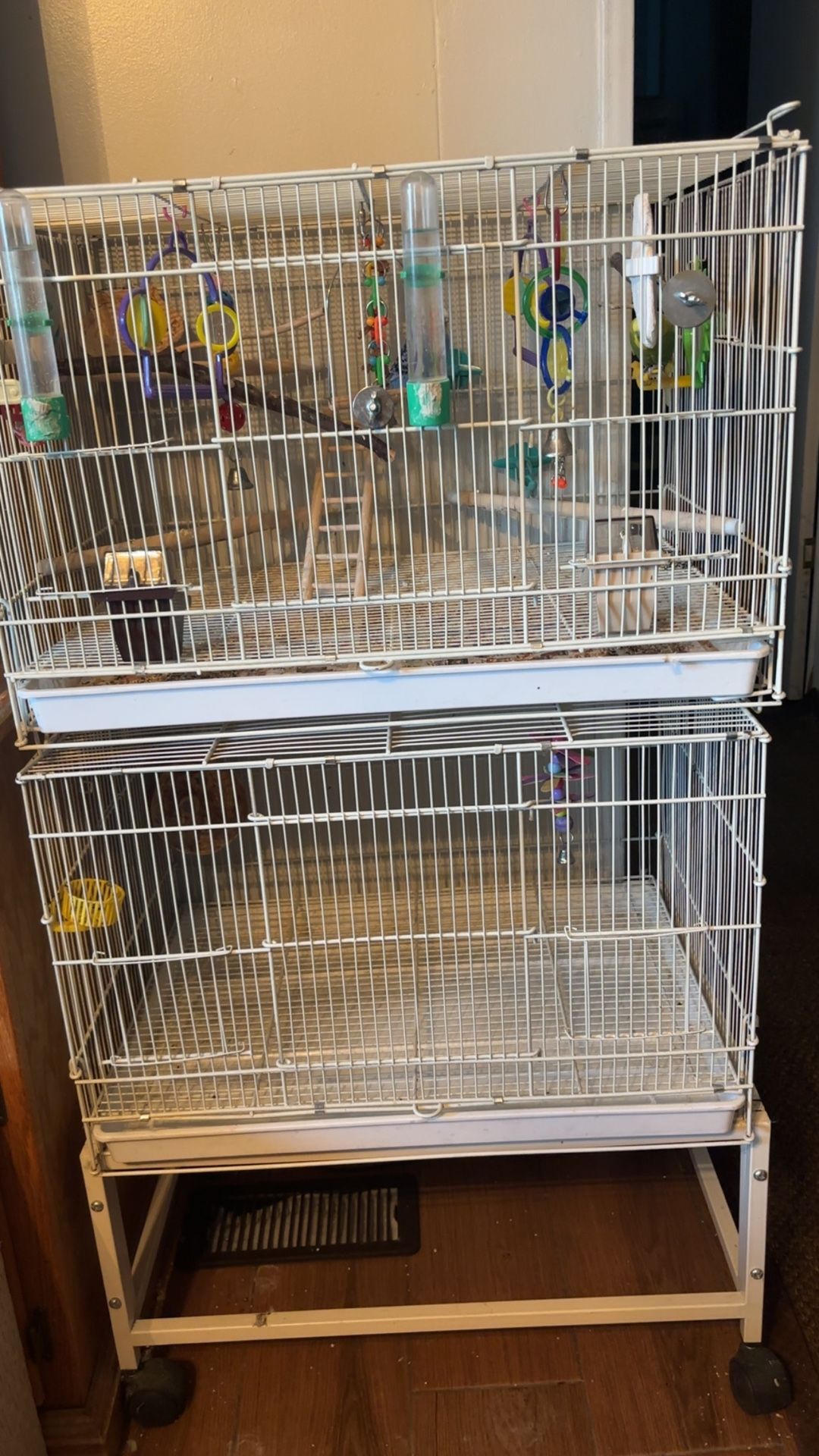 Bird Cage 