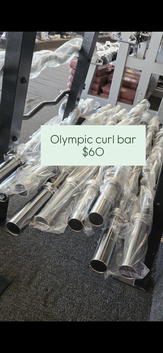 Olympic Curl Bar