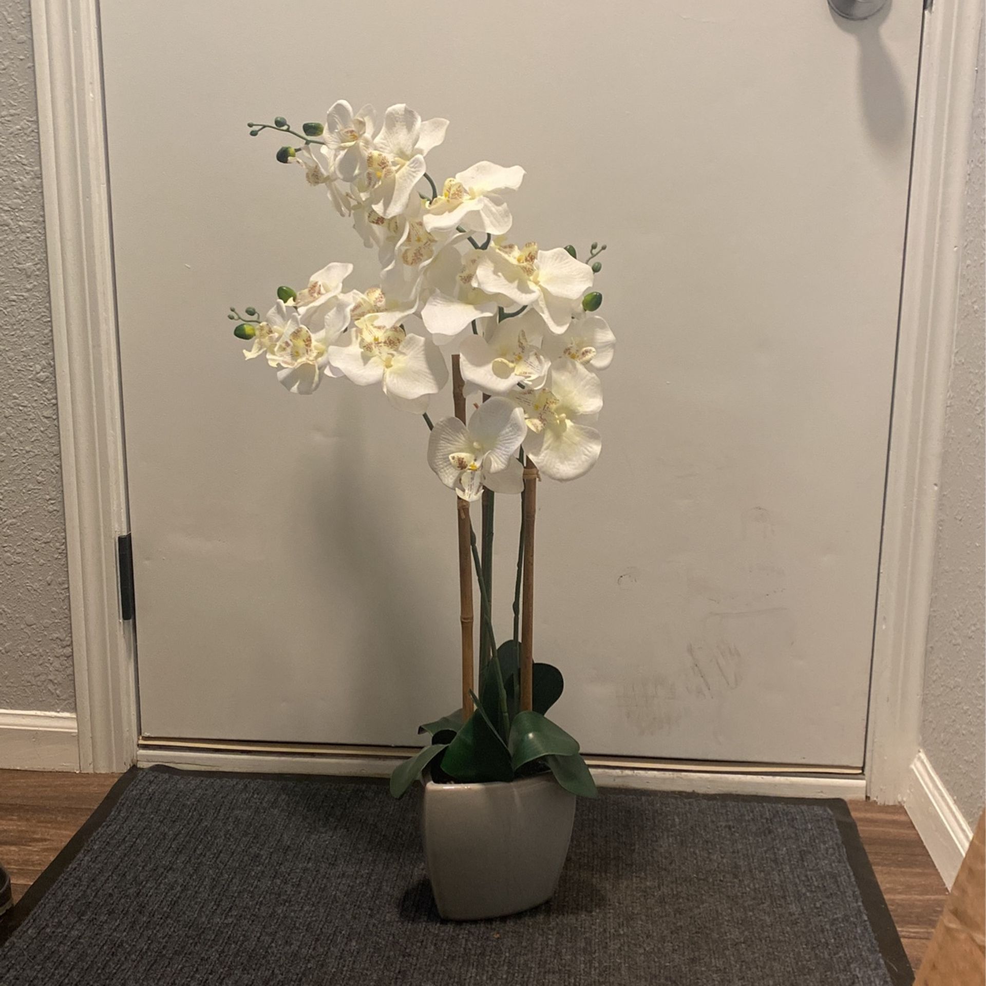 Faux Orchid Plant