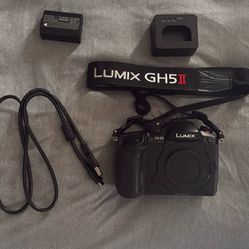 Panasonic LUMIX GH5 II