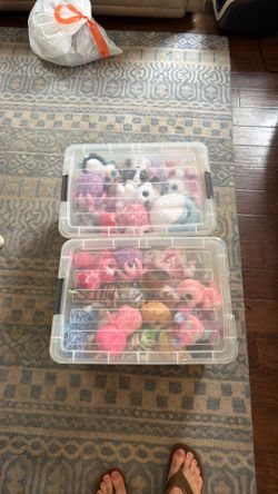 100 beanie boos