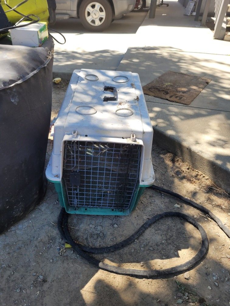 Dog Crate