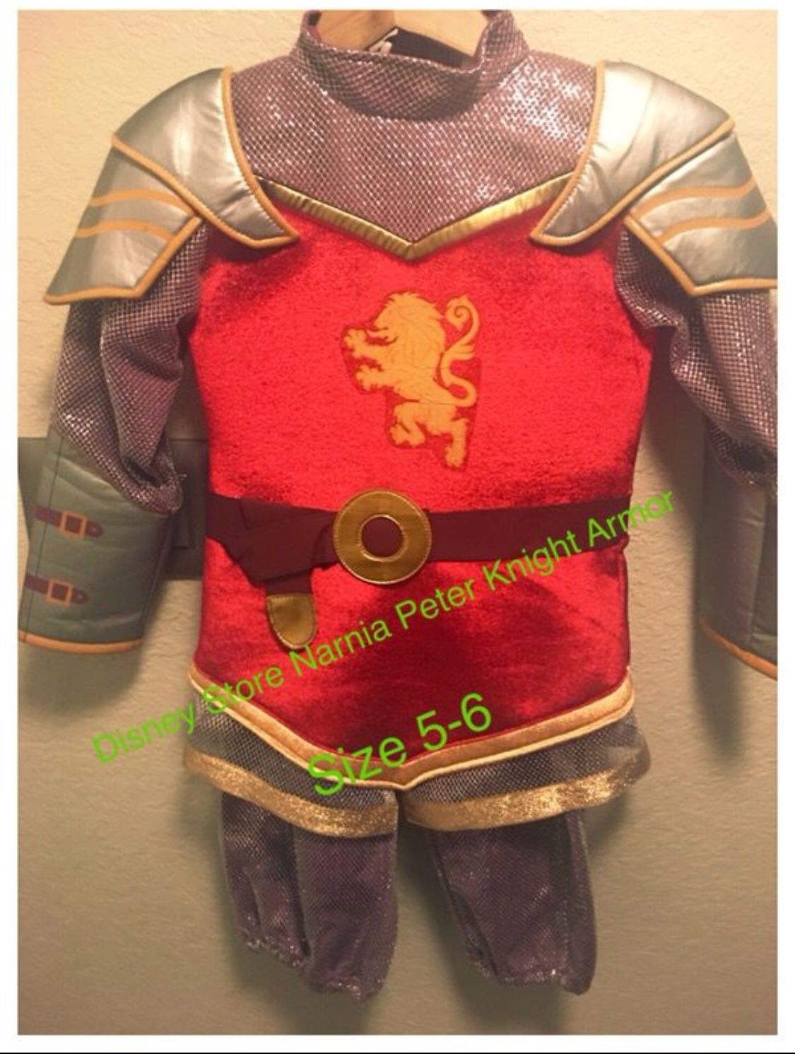 Costume Night Armor, Peter from Narnia.