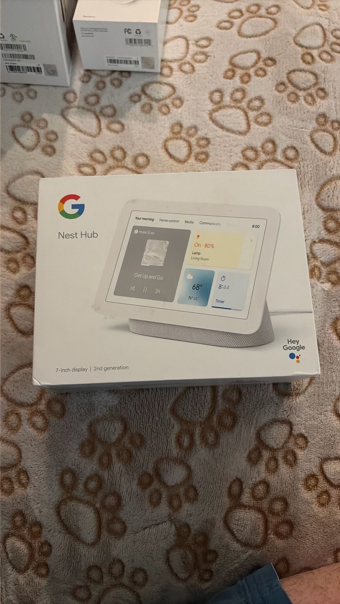 Google Nest Hub