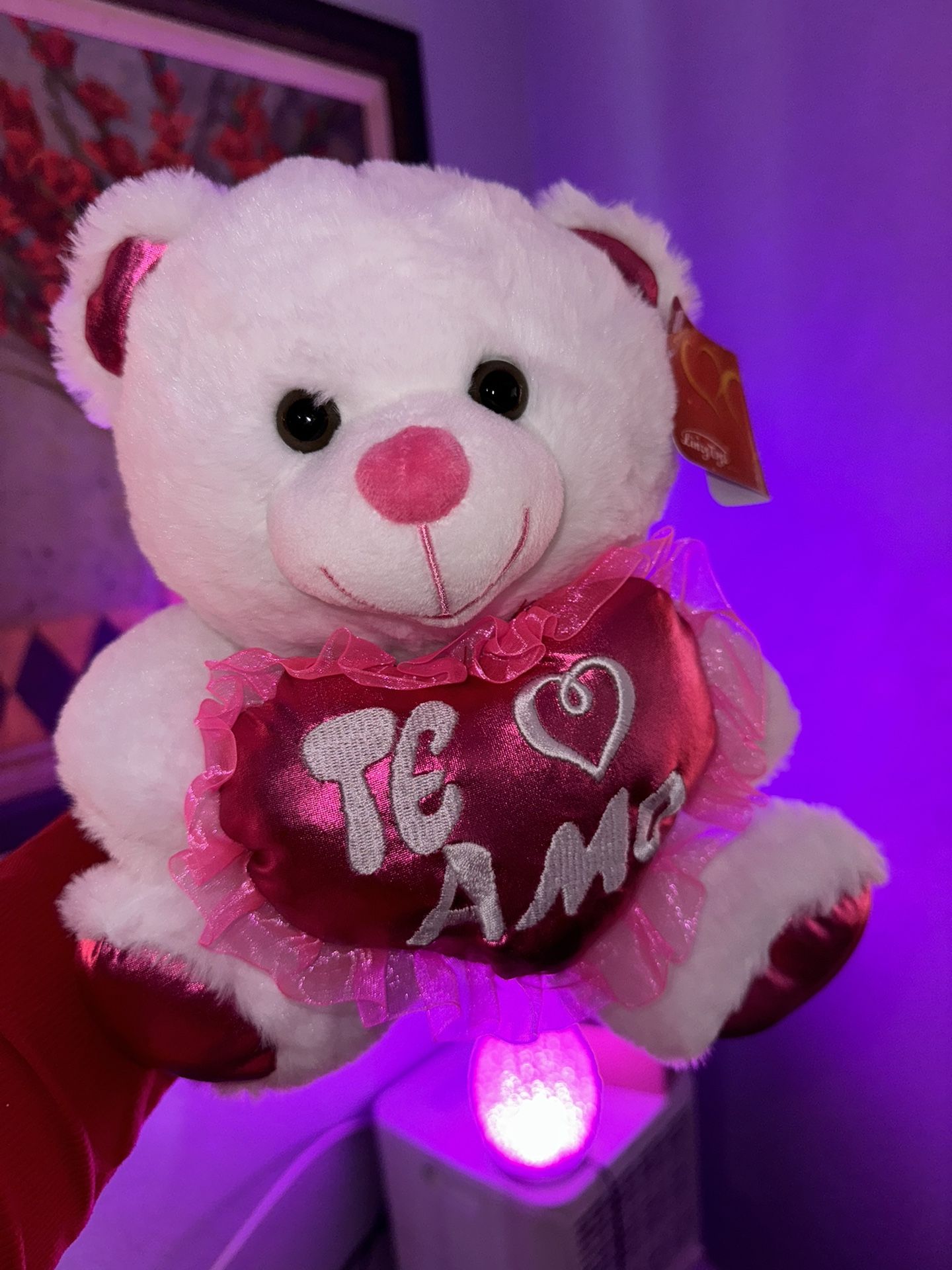 Valentine’s Day, Teddy Bear Gift 