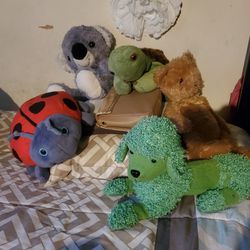 5 Stuffed Animals 