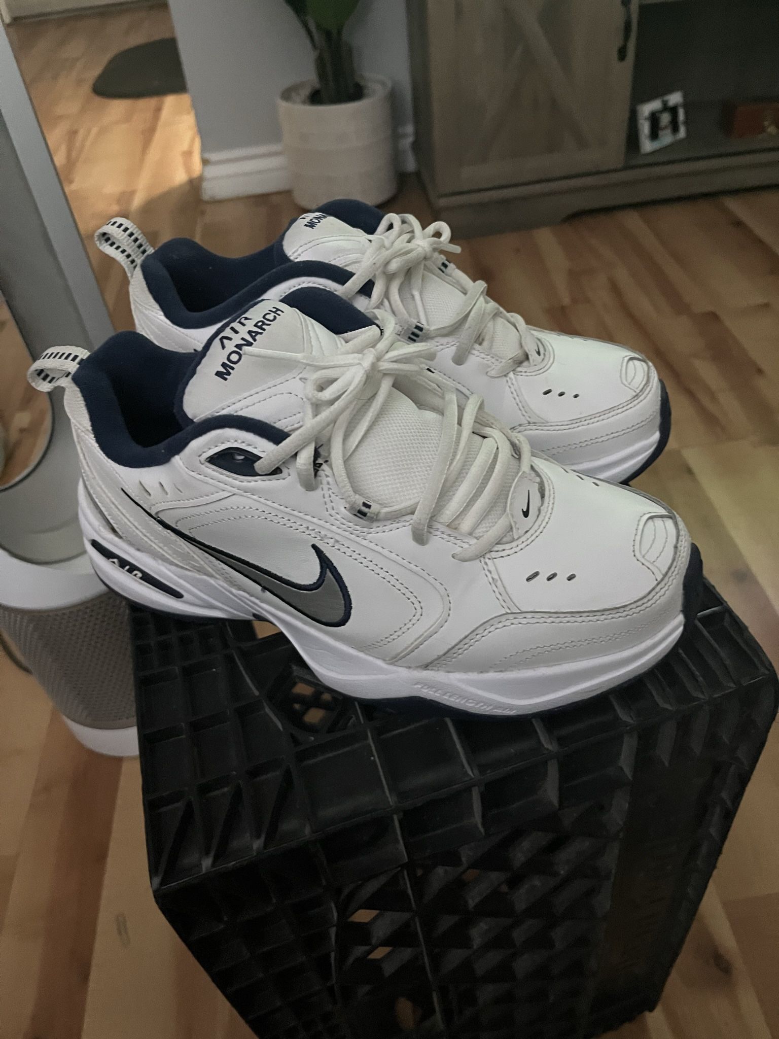Dad Shoe Nike Air Monarch Sz