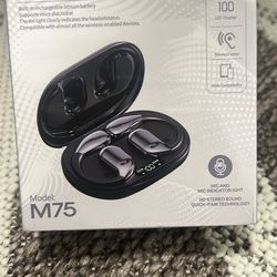 Ai Translator Headphones 