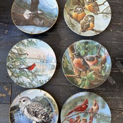 Unique vintage decorative collectible bird plates