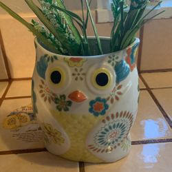 Owl