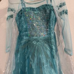 Elsa Costume Size3