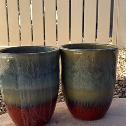 Tree/Flower Pot