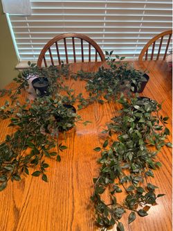 Artificial Trailing Plants Set