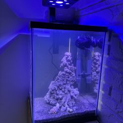 10 Gallon Tank Hood (Top) with LED Lights