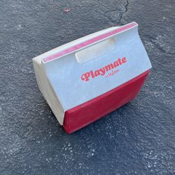 Cooler Playmate By Igloo