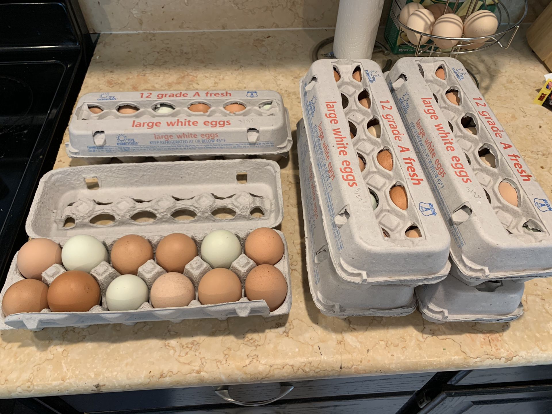 Fresh free range eggs
