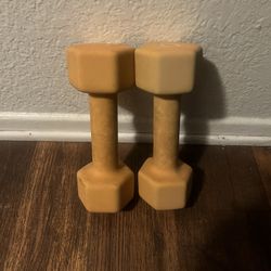 8lb Dumbbells 2 Each Orange Weights 