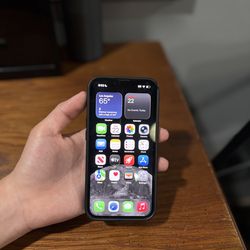 iPhone 13
