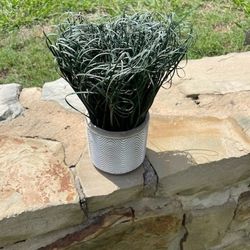 Potted Curly Grass Home Decor - Artificial 