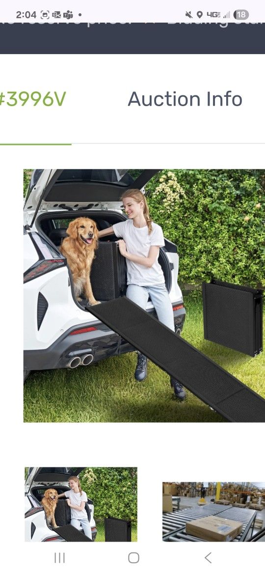 Dog Ramp - Brand New