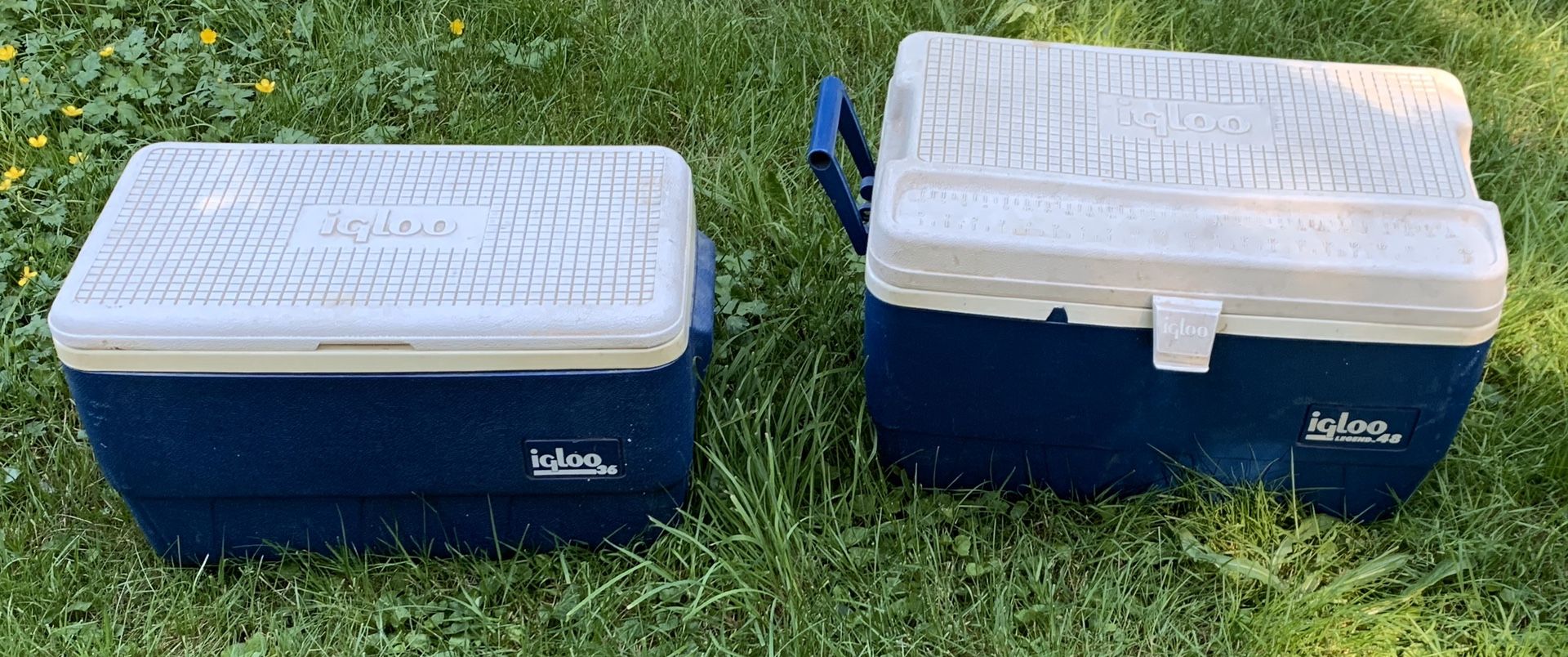 2 iGloo coolers for 1 price