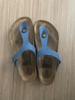 Birkies In Blue