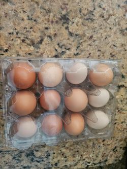 Huevos criollo