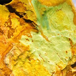 1lb Gary Green Jasper Bog Wood Larsonite Caldera Freedom Stone Rough Raw Natural