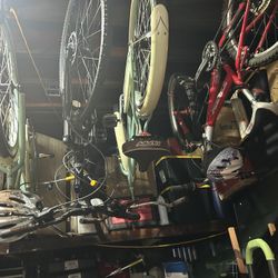 In Hollywood Bikes Beach Cruisers Make Offers There’s Four Or 4