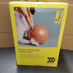  All In Motion 65cm weighted Stability Ball