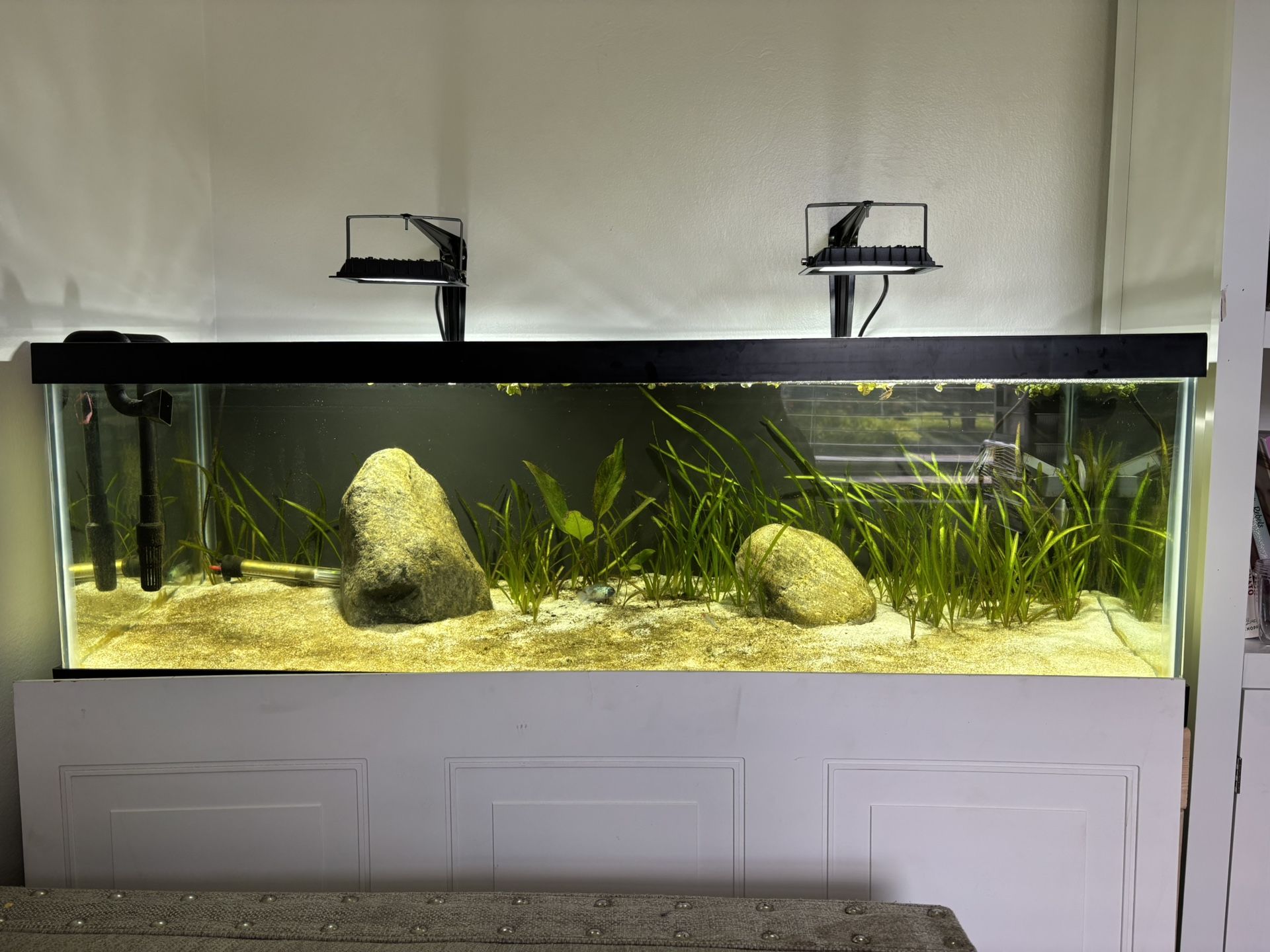 Aquarium Fish Tank