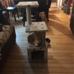 Cat Tower