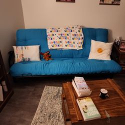 Teal Futon Mattress & Black Metal Futon Frame