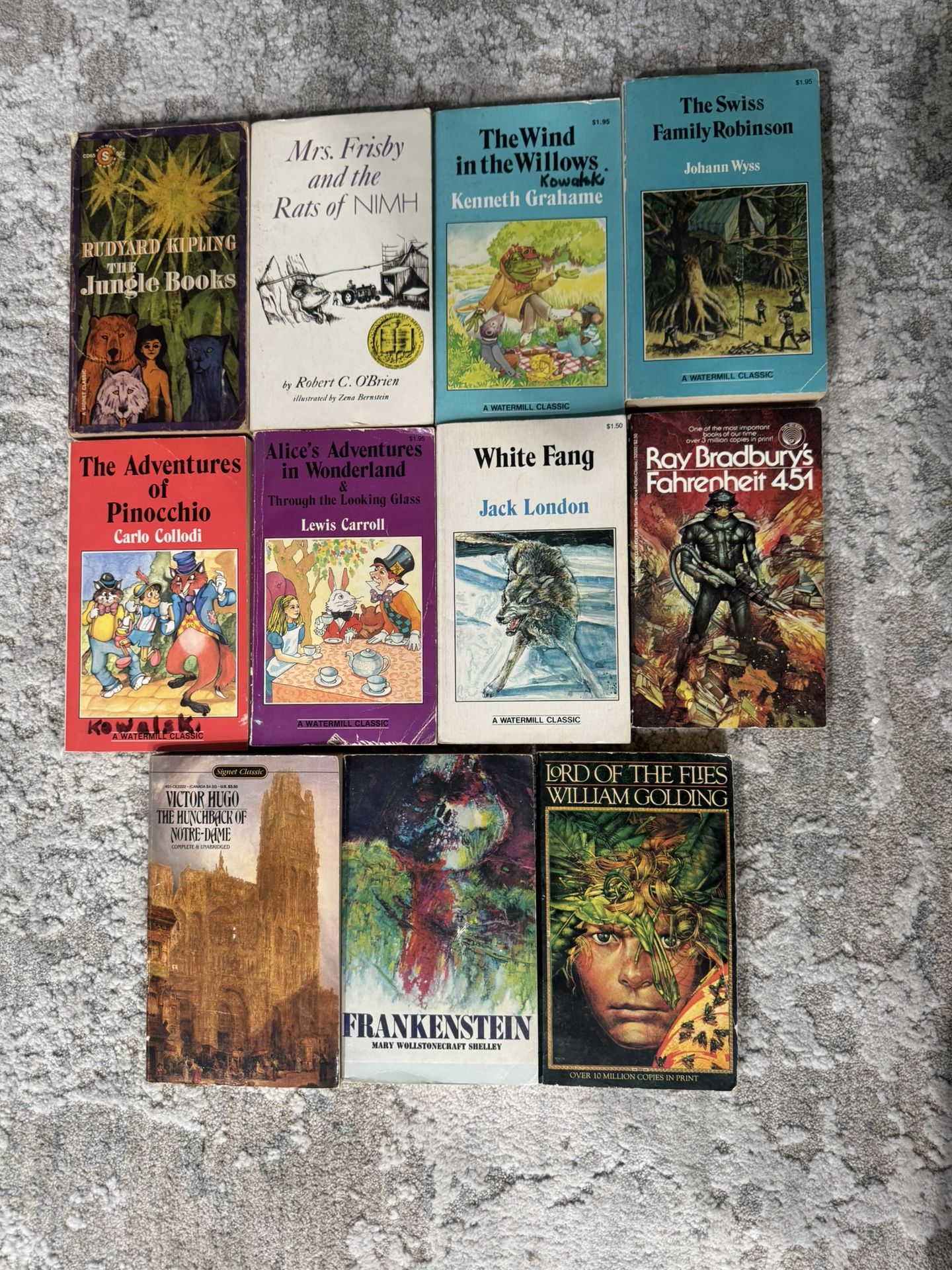 Classic Books Vintage Read Reading Lot Collector Collection