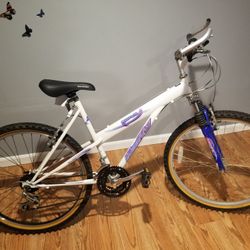 HUFFY 26 INCH WOMEN'S BIKE
