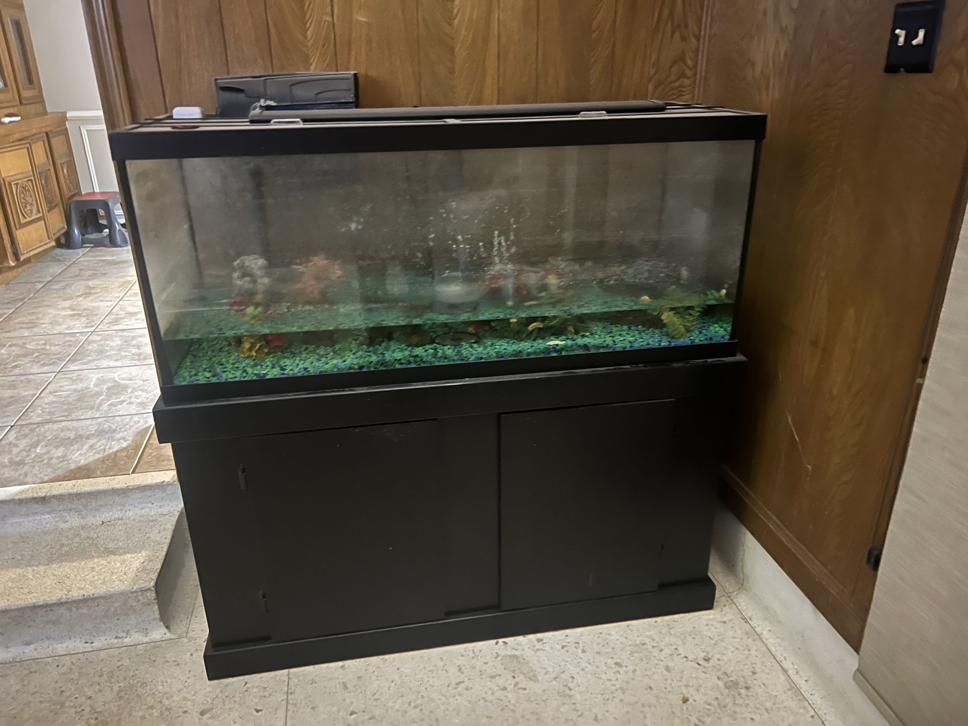 Aquarium Fish Tank