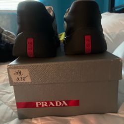 Prada cups