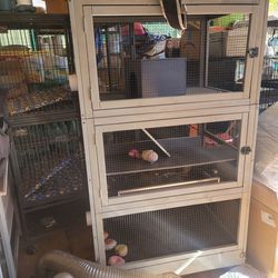 Cages, two cages