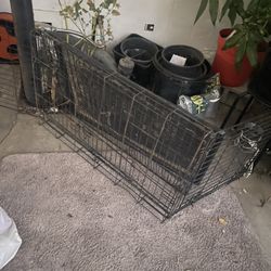 Large Dog Kennel