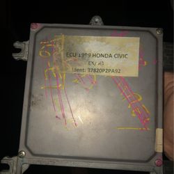 Honda Ecus 
