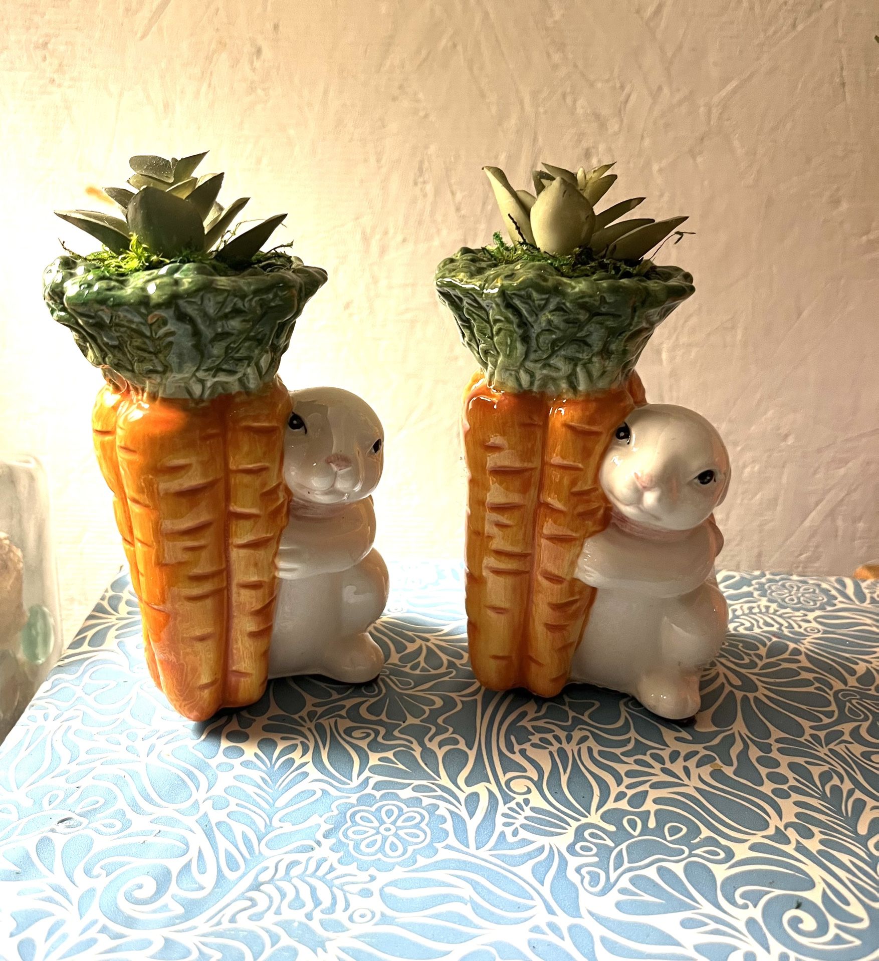 Bunnies With Succulents