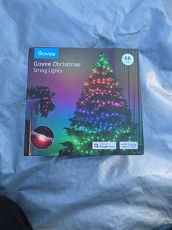 Govee Christmas String Lights 66'