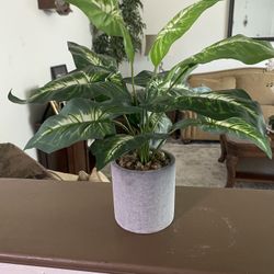 Artificial Plant