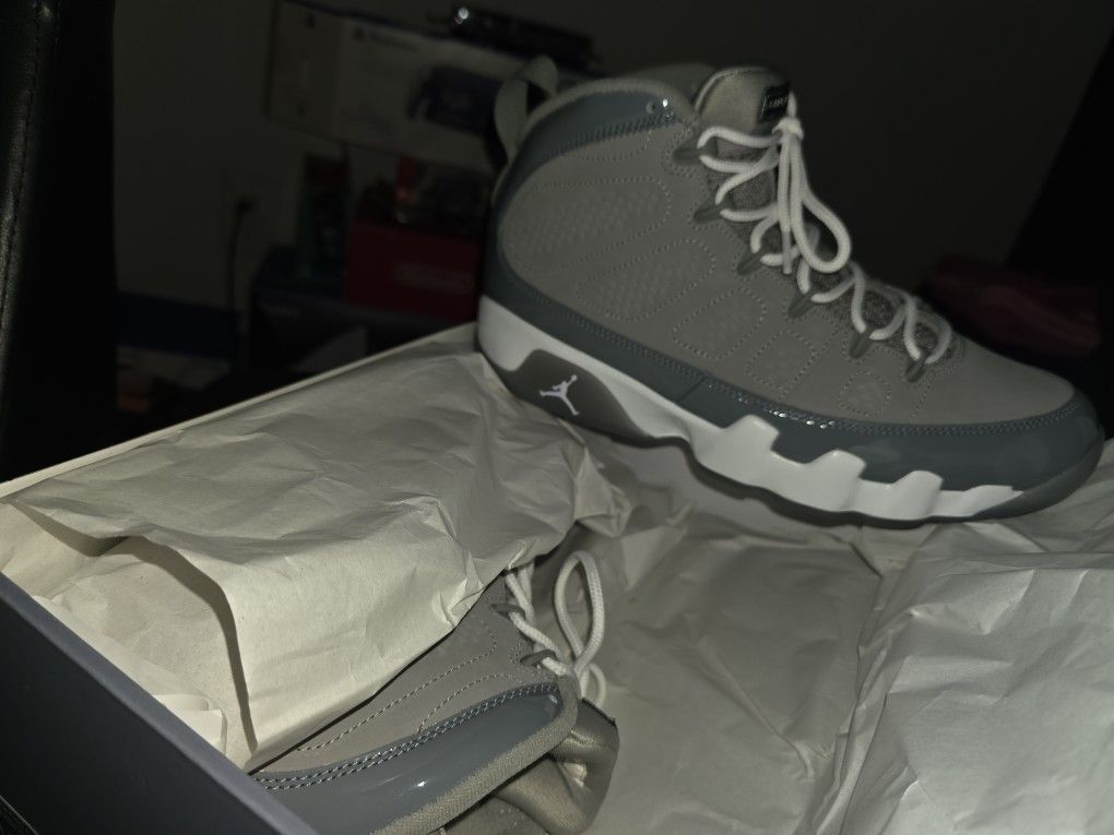 Cool Greay Jordan 9 Sz 10 